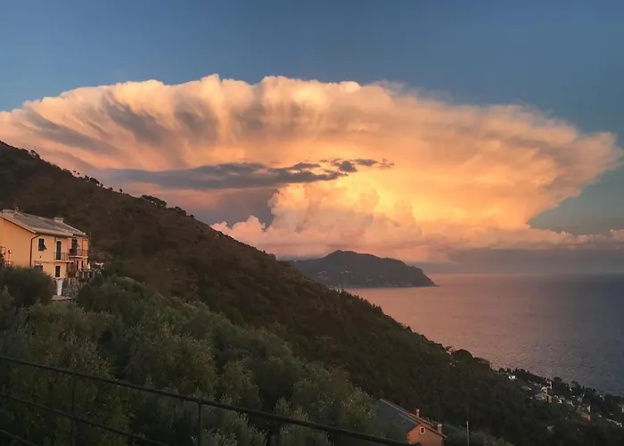 Casa Bubo Lejlighed *