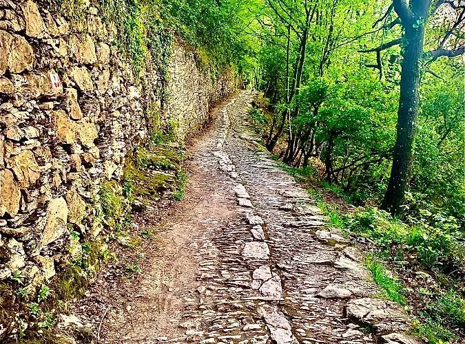 Апартаменты Casa Bubo Больяско
