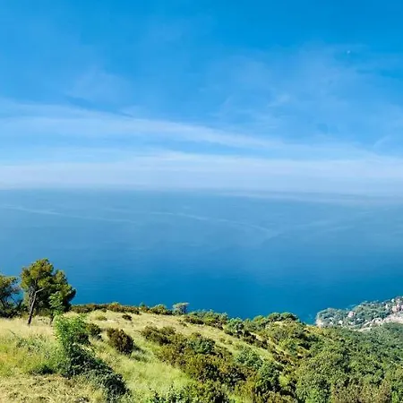 Casa Bubo Apartment *