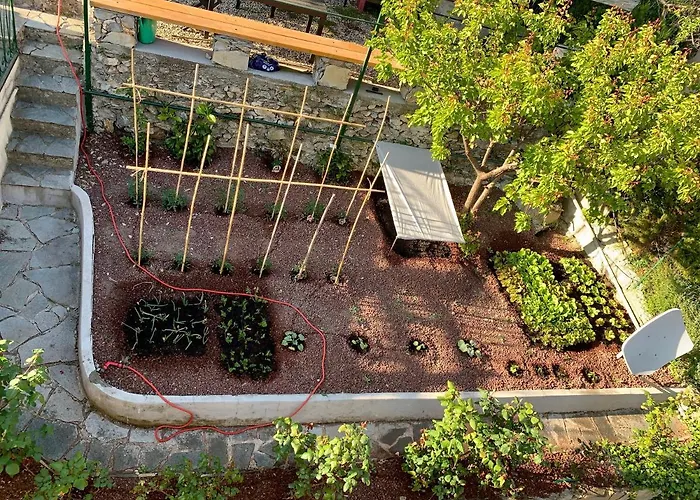 Casa Bubo Apartamento